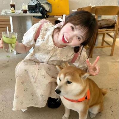 美的世界